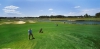 golf_117